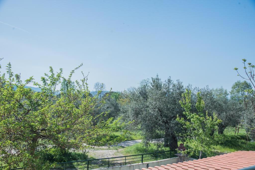 Diogenis Villa Vourvourou Bagian luar foto