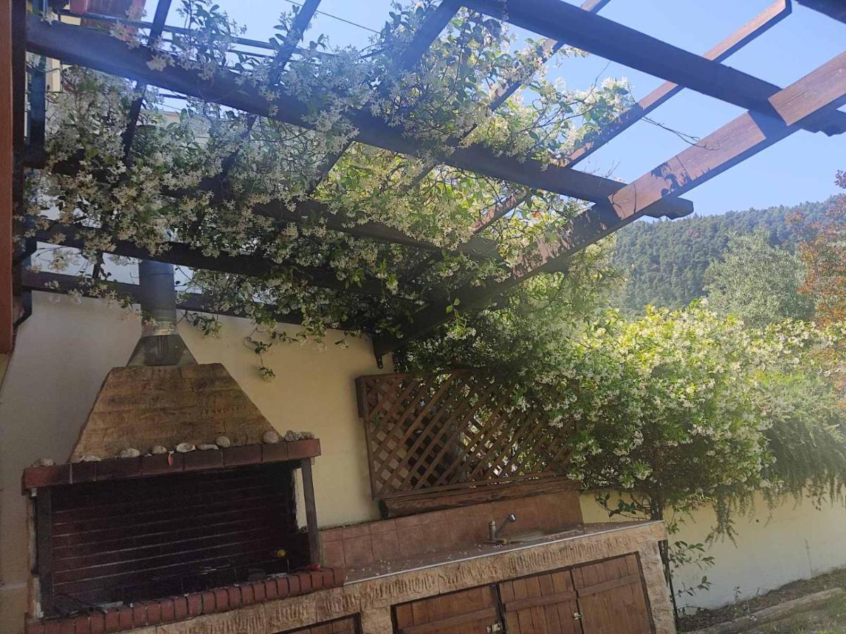 Diogenis Villa Vourvourou Bagian luar foto